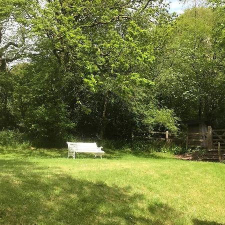 Peaceful Cottage, Close To Coast & Moor Parracombe Esterno foto
