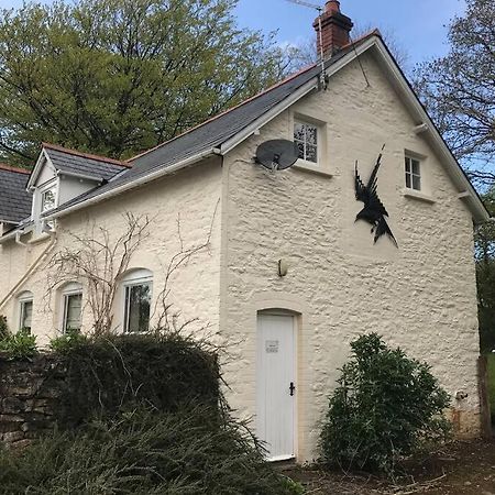 Peaceful Cottage, Close To Coast & Moor Parracombe Esterno foto
